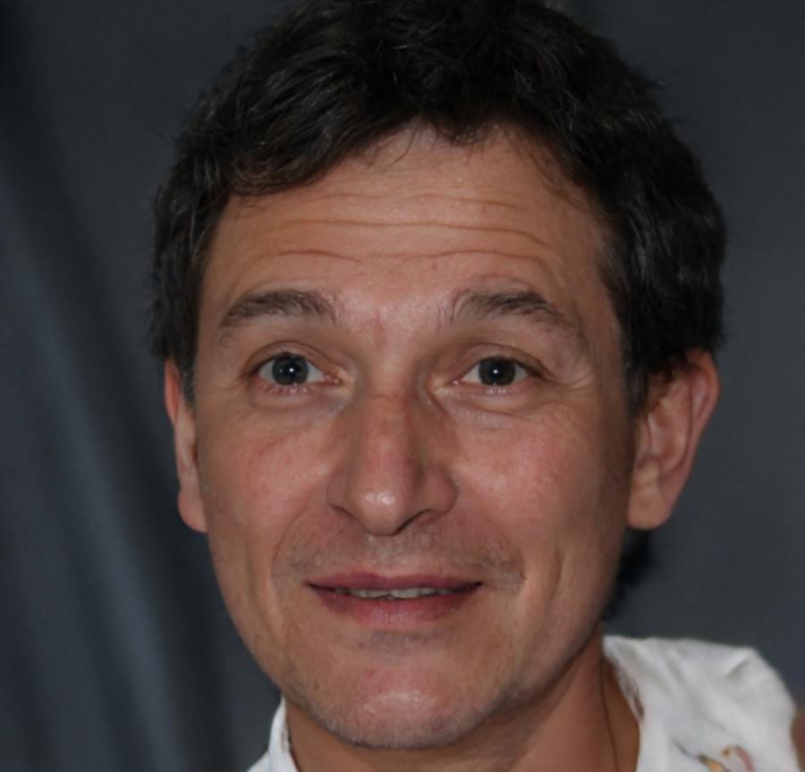 Carlos Mendoza, Director Académico